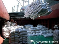 Philippines buys 150,000 tonnes rice from Vietnam, set to import more