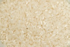 Vietnam Short Rice (NT)