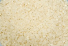 Japonica Rice (Vietnam Round Rice)